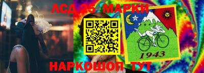 spice Заволжье
