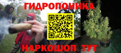 тгк Заводоуковск