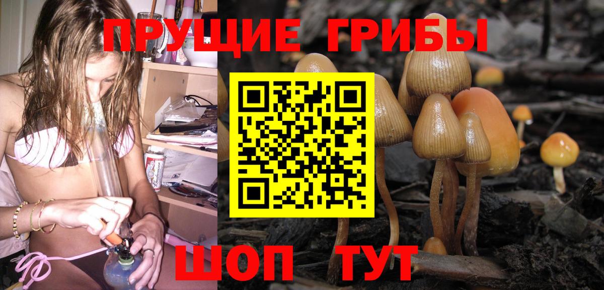 Москва  Галлюциногенные грибы Magic Shrooms  Вход с VPN 