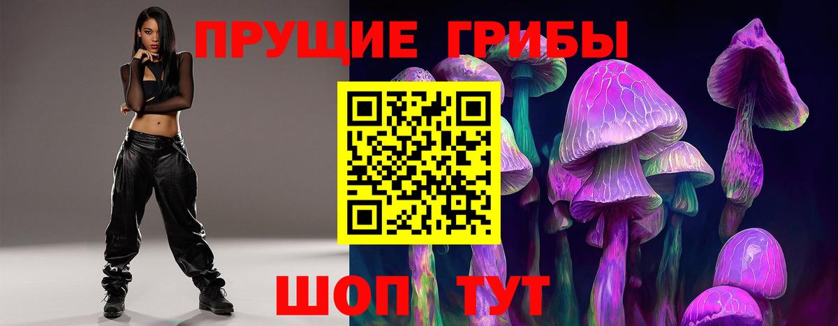 Галлюциногенные грибы Psilocybe Москва